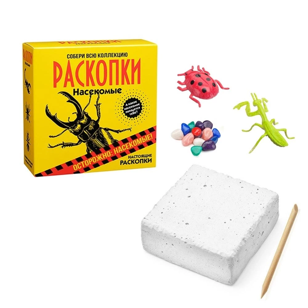 Excavation Kit - Insects