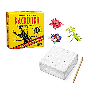 Excavation Kit - Insects