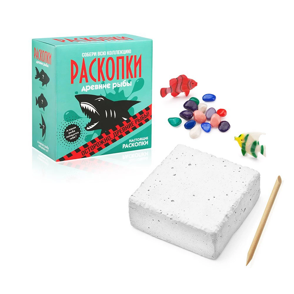 Excavation Set - Fish