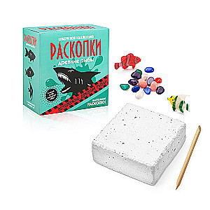 Excavation Set - Fish