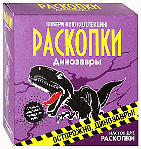 Excavation Set - Dinosaurs