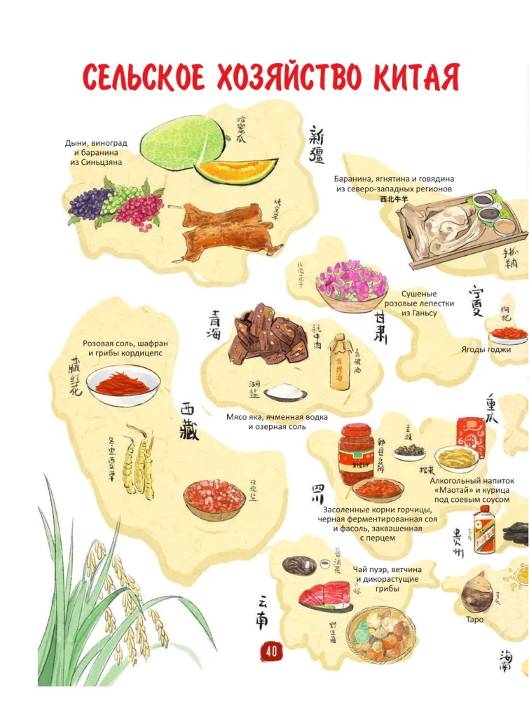 Chinese Cuisine in Illustrations