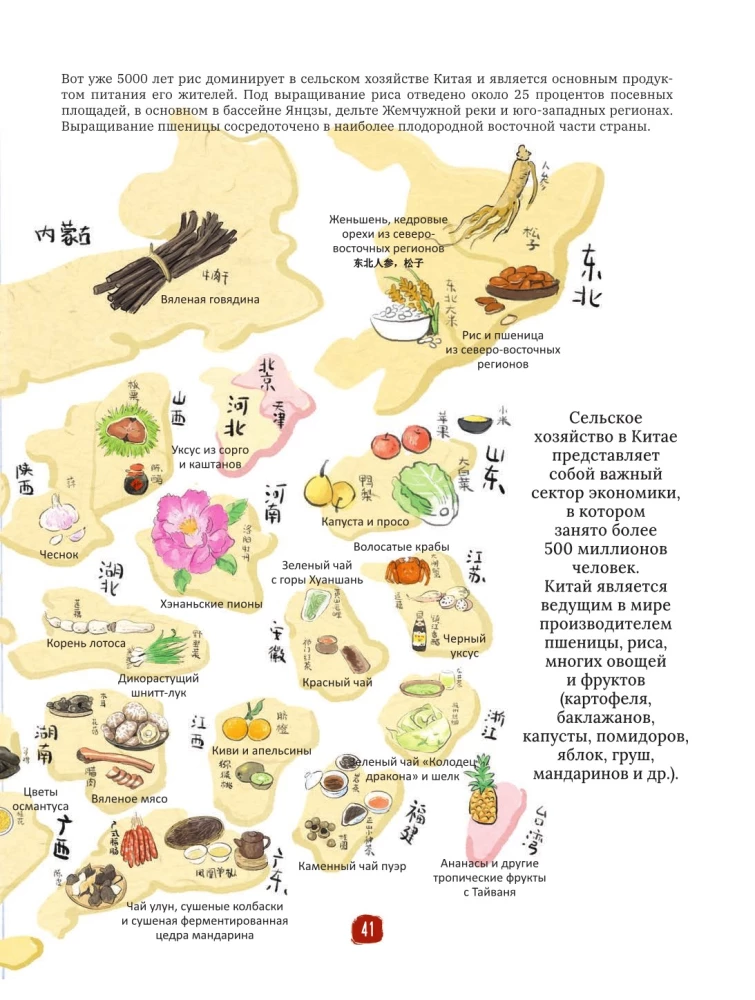 Chinese Cuisine in Illustrations