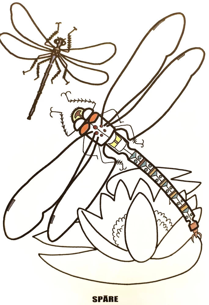 Coloring book - Insects