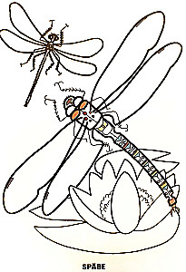 Coloring book - Insects