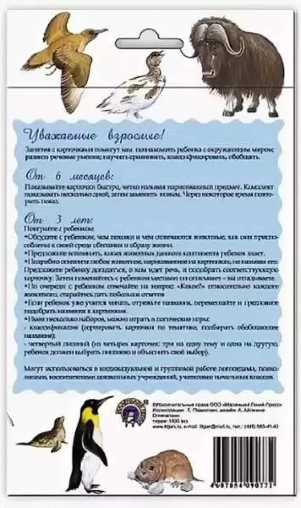 Didactic cards - Animals of the Arctic and Antarctica
