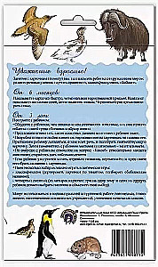 Didactic cards - Animals of the Arctic and Antarctica