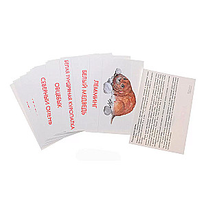 Didactic cards - Animals of the Arctic and Antarctica