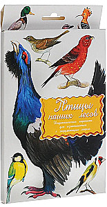 Karty dydaktyczne - Ptaki naszych lasów w paczce