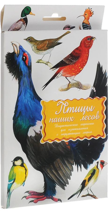 Karty dydaktyczne - Ptaki naszych lasów w paczce