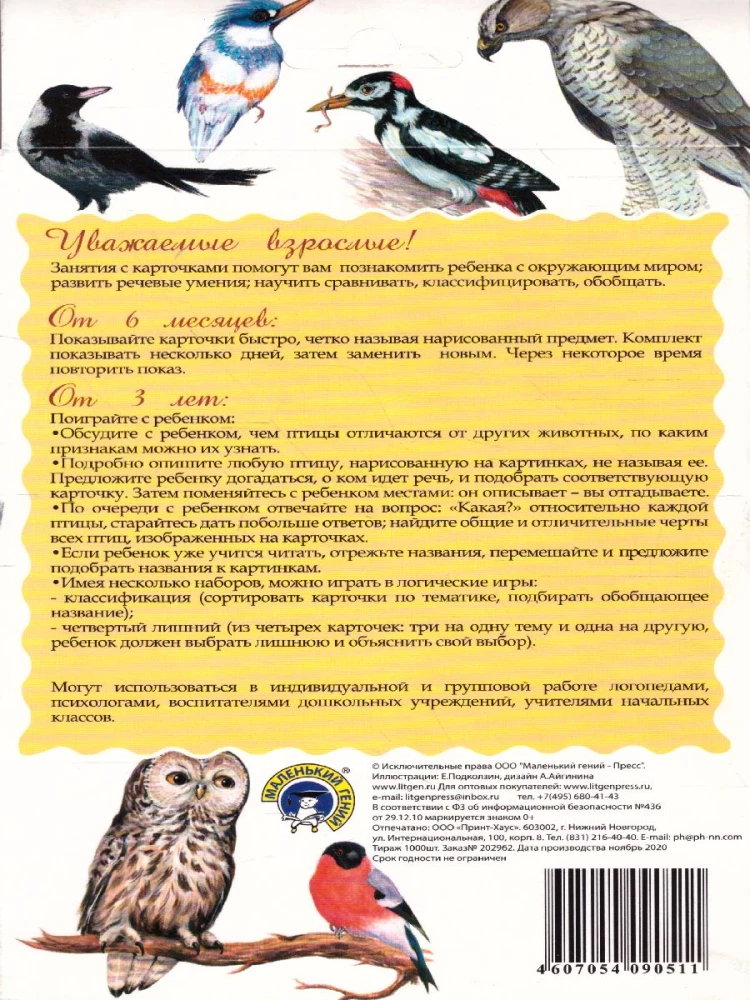 Didactic cards - Birds of our forests in a pack