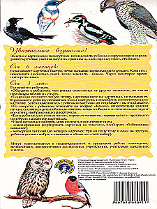 Didactic cards - Birds of our forests in a pack