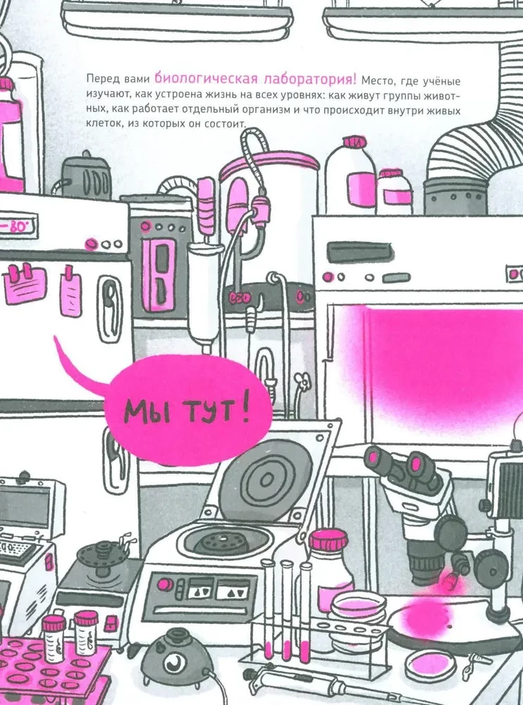 Micro Superheroes. The Most Useful