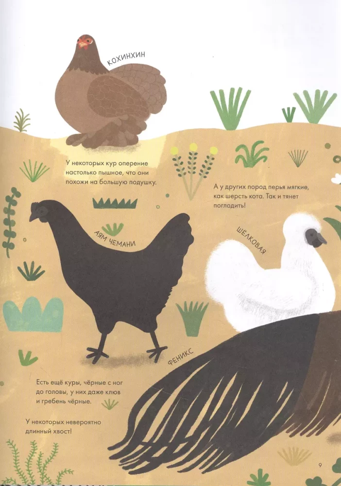 Chickenology. Summer cottage encyclopedia