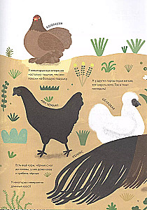 Chickenology. Summer cottage encyclopedia
