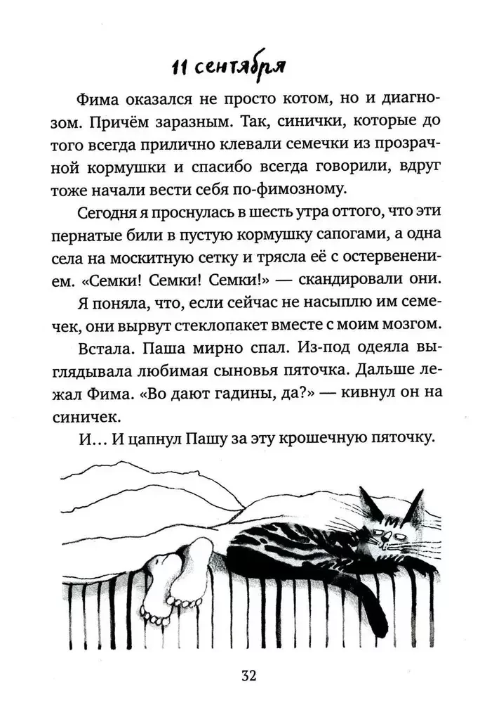 Кот прямо с неба. Для тех, кто в душе немного кот