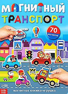 Magnetic Transport