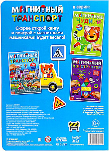 Magnetic Transport
