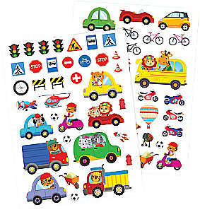 Magnetic Transport