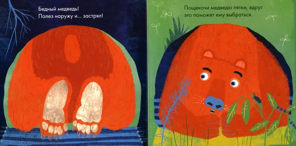 Poor Bear