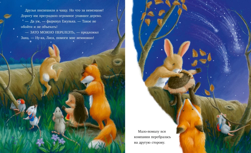 Приключения Ежульки. Самая звёздная ночь