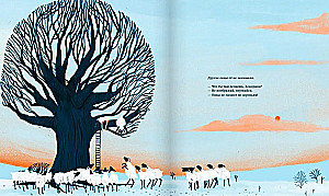 Hendrika, the sheep that climbed a tree