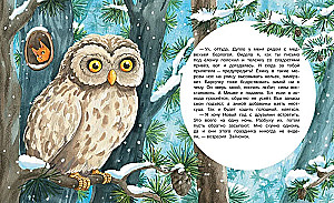 A Holiday for Everyone. A Fairy Tale