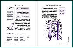 Harry Potter: The Unofficial Companion Book. Volume 1. The Philosopher's Stone: An In-Depth Exploration