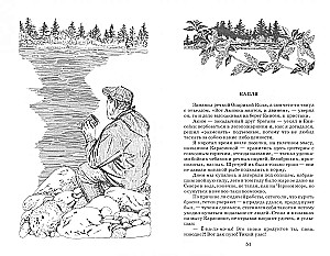 Tsar Fish