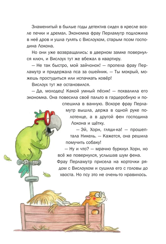 Секрет пропавшей дамы
