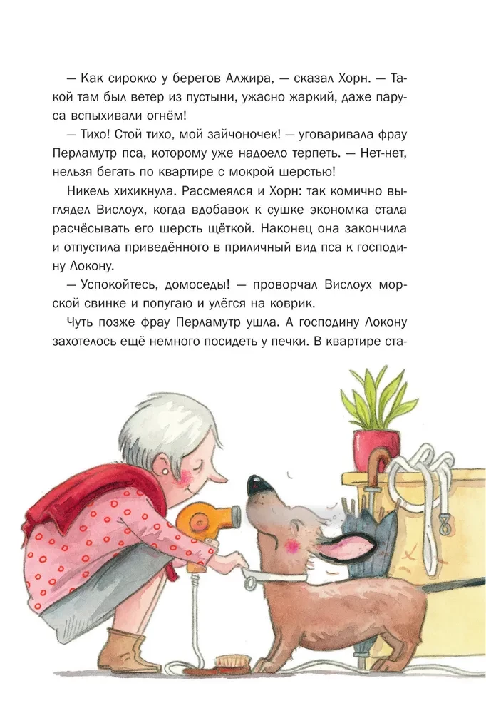 Секрет пропавшей дамы
