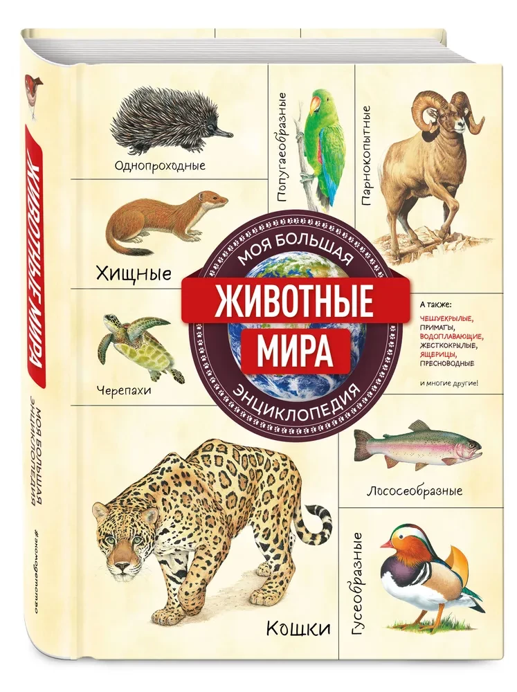 Zwierzęta świata. Moja wielka encyklopedia