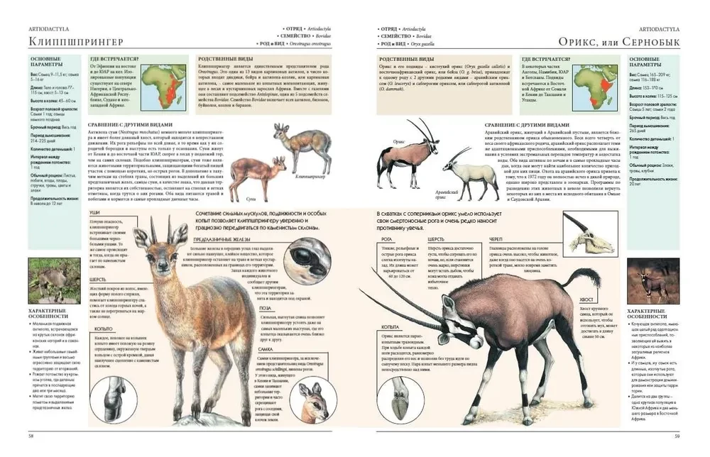Animals of the World. My Big Encyclopedia