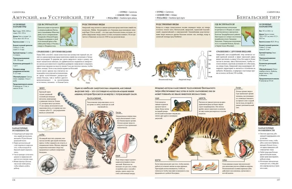 Animals of the World. My Big Encyclopedia