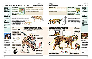 Animals of the World. My Big Encyclopedia