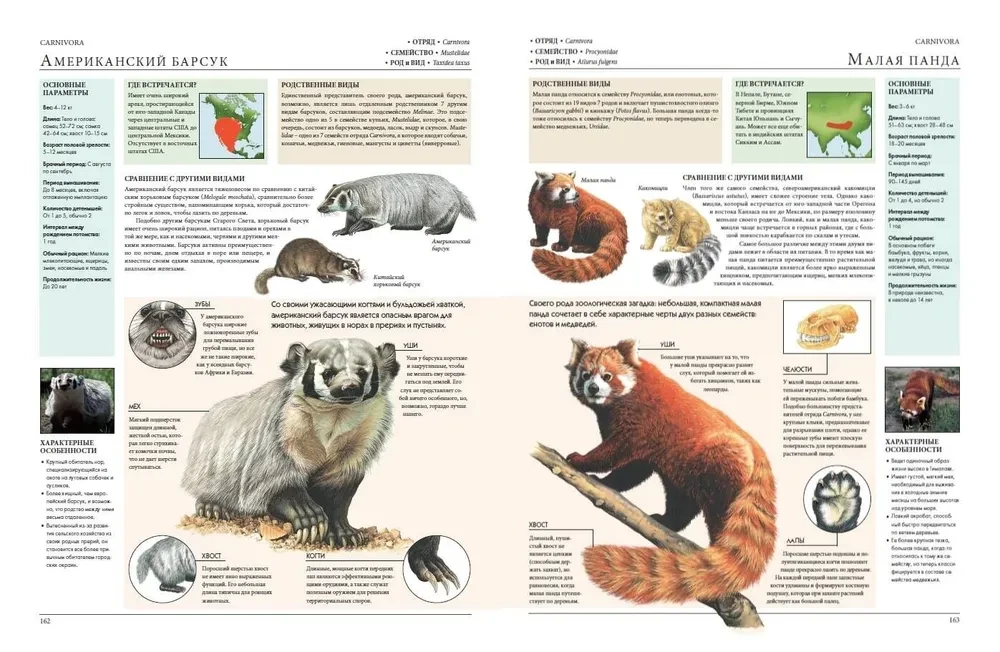 Animals of the World. My Big Encyclopedia