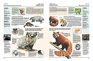 Animals of the World. My Big Encyclopedia