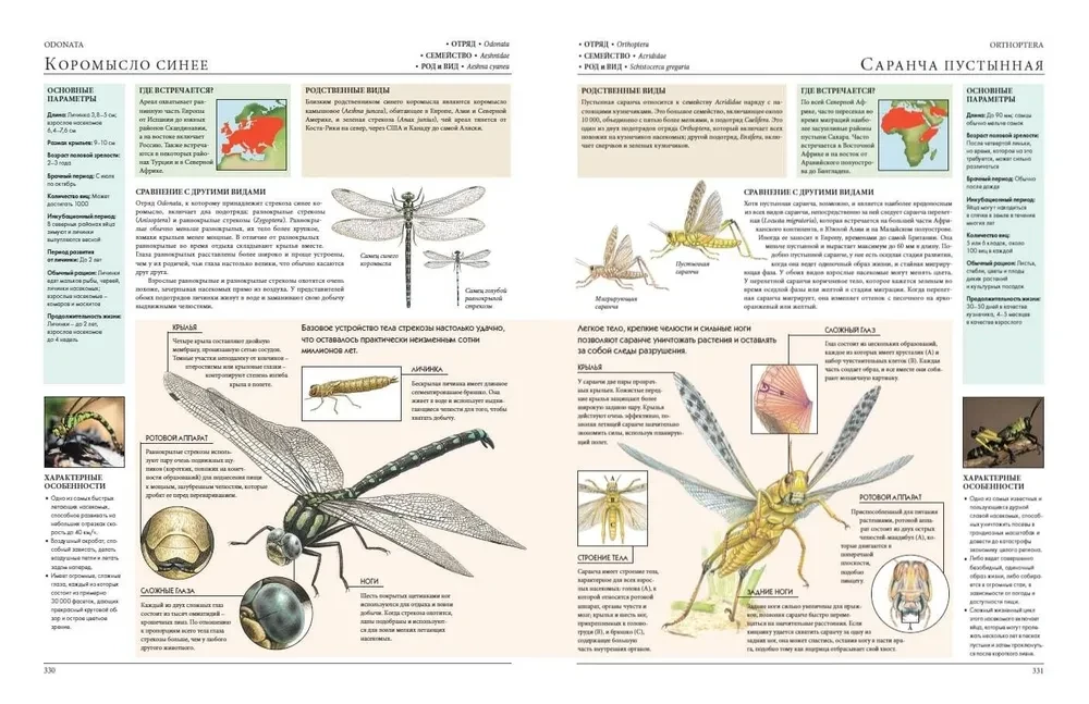 Animals of the World. My Big Encyclopedia