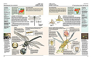Animals of the World. My Big Encyclopedia