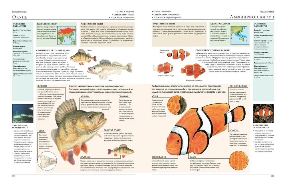Animals of the World. My Big Encyclopedia