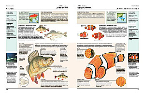 Animals of the World. My Big Encyclopedia