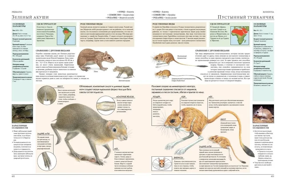 Animals of the World. My Big Encyclopedia