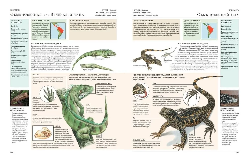 Animals of the World. My Big Encyclopedia