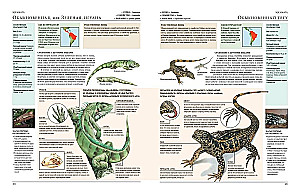 Animals of the World. My Big Encyclopedia