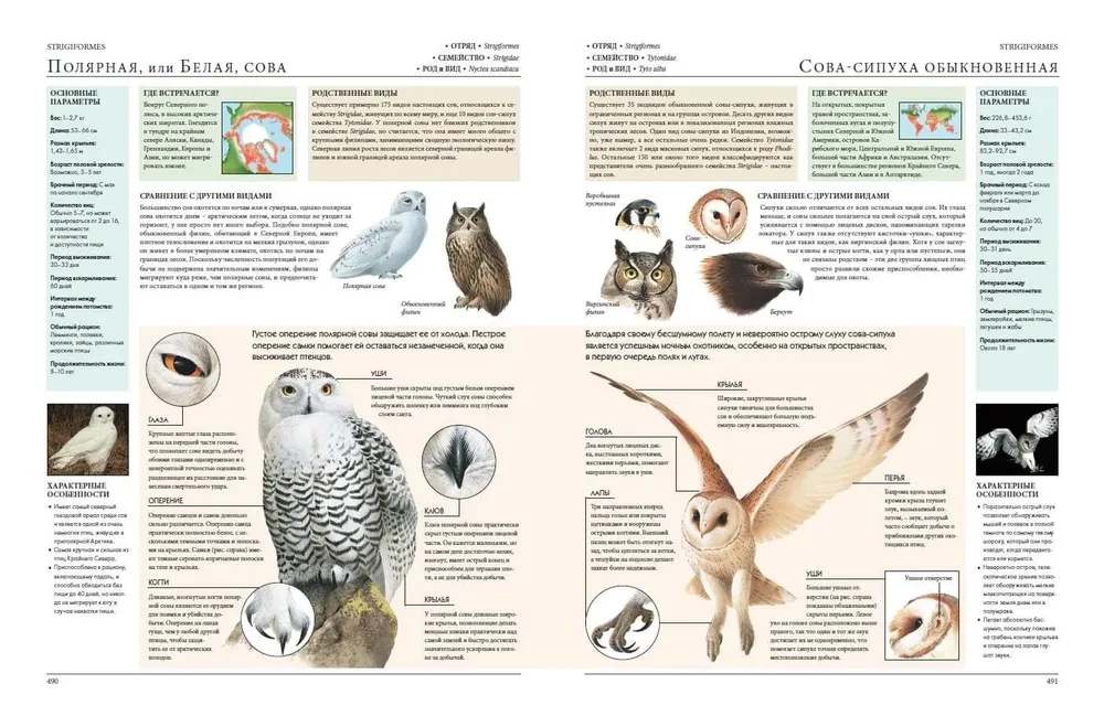 Animals of the World. My Big Encyclopedia