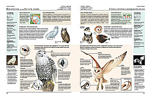 Animals of the World. My Big Encyclopedia