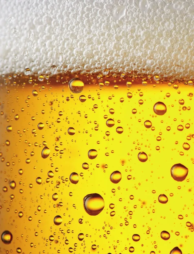 Beer. History, varieties, production, tasting, traditions