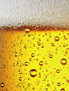 Beer. History, varieties, production, tasting, traditions