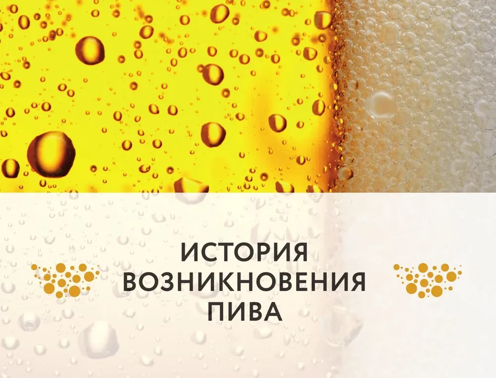 Beer. History, varieties, production, tasting, traditions