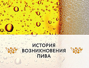 Beer. History, varieties, production, tasting, traditions